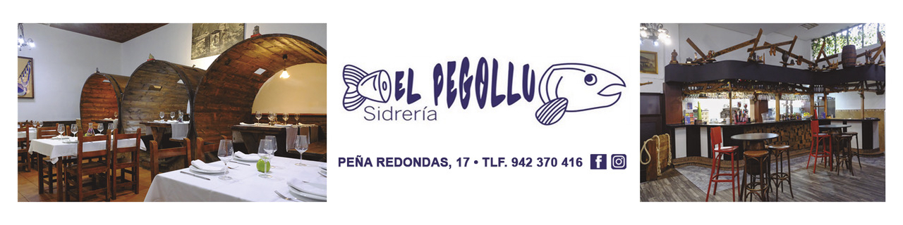 Banner El Pegollu